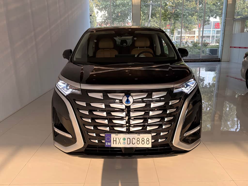 Denza D9
