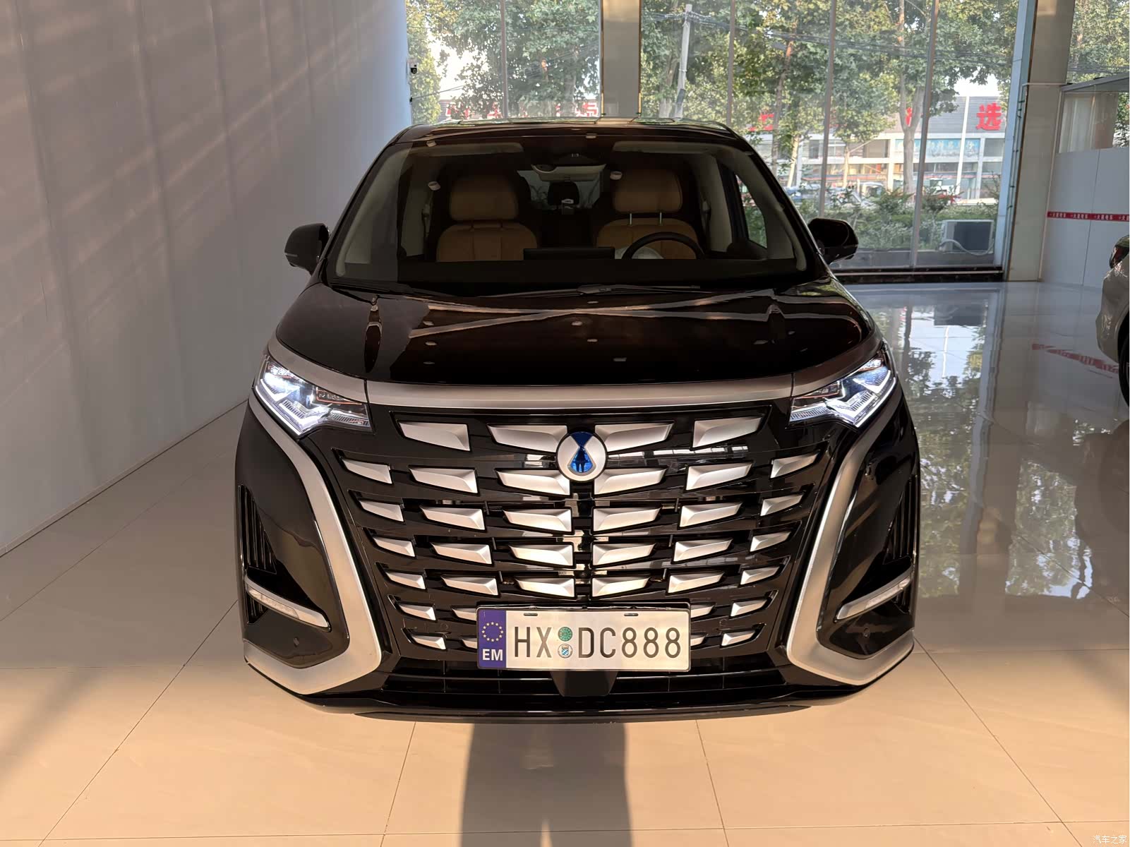 Denza D9