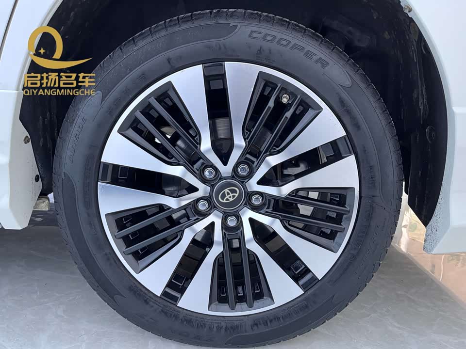 Toyota Elfa