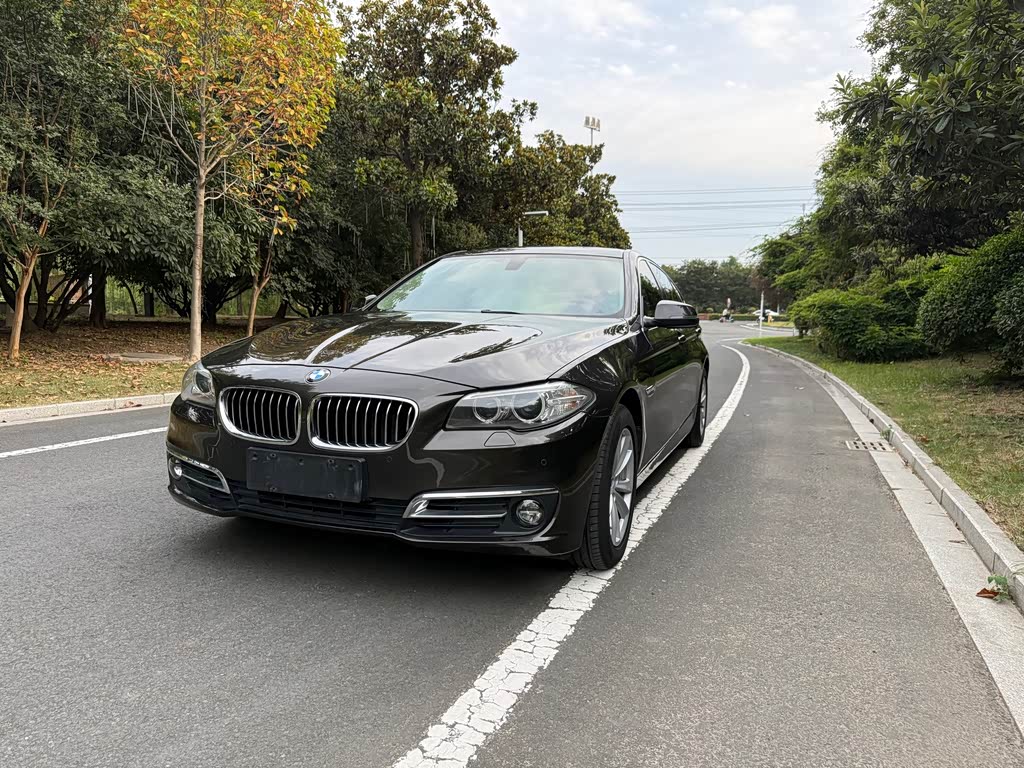 BMW 5 Series 5 2014 520Li Elegant
