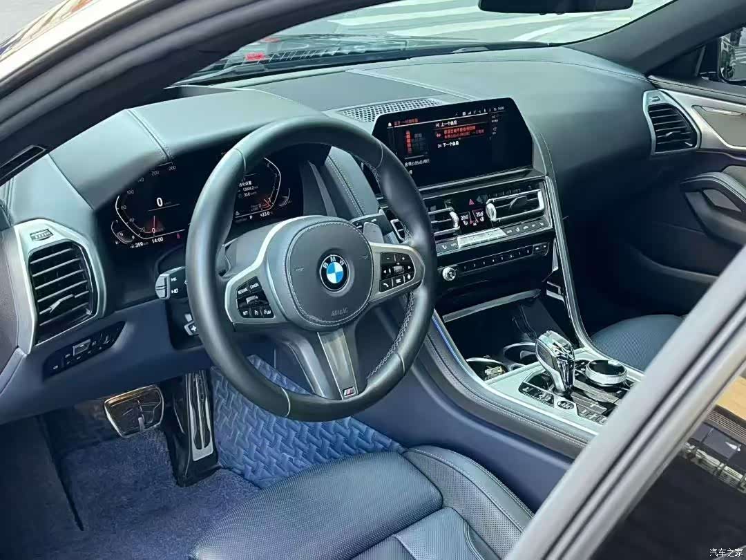 BMW 8 Series, 2020 7