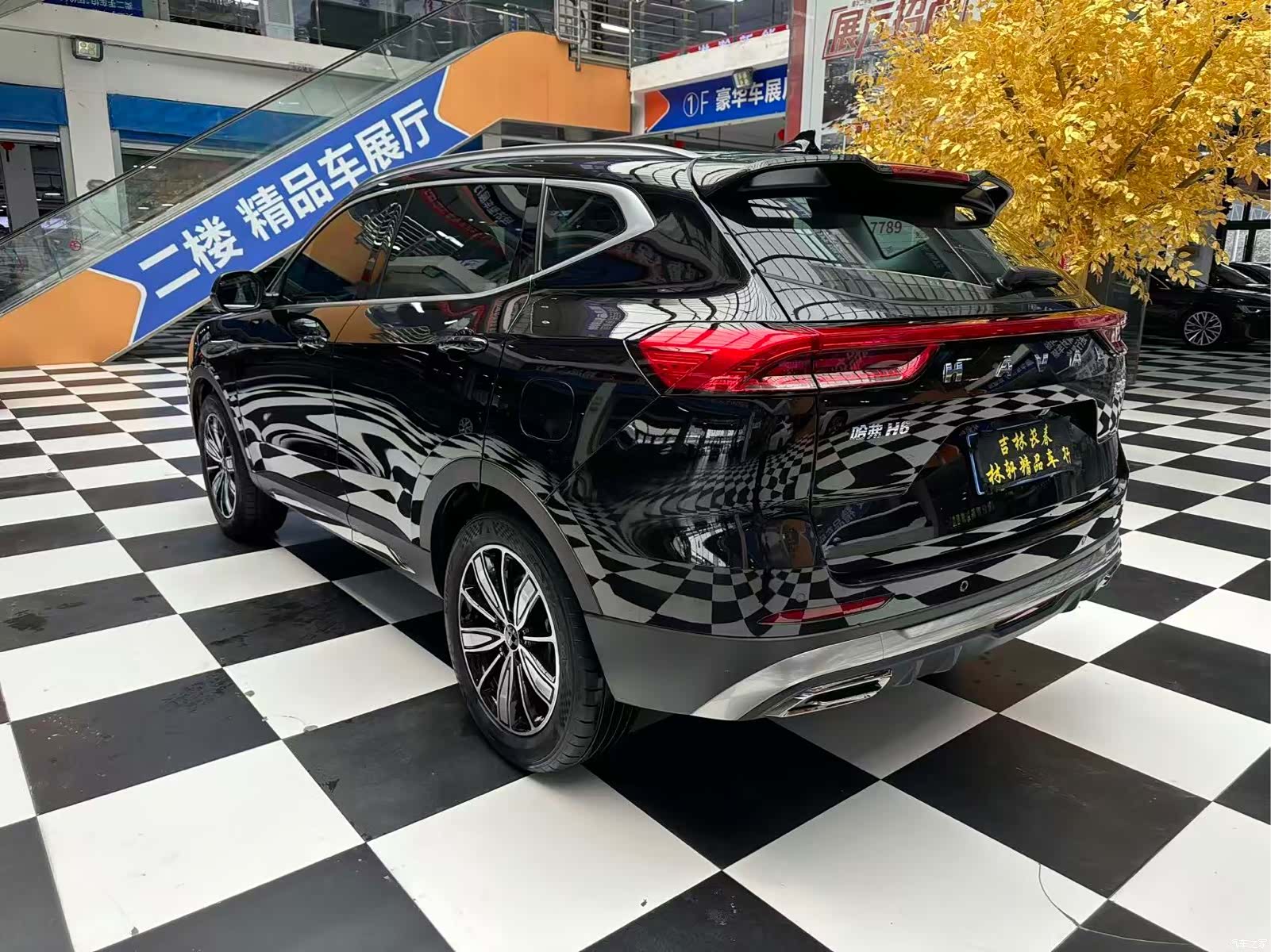 Haval H6, 2023 15