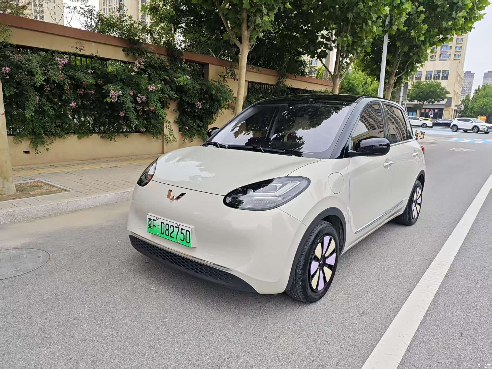 Wuling Bingo, 2024 1