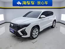 �ݴ�VS5 2024�� 280TSI �Զ�������