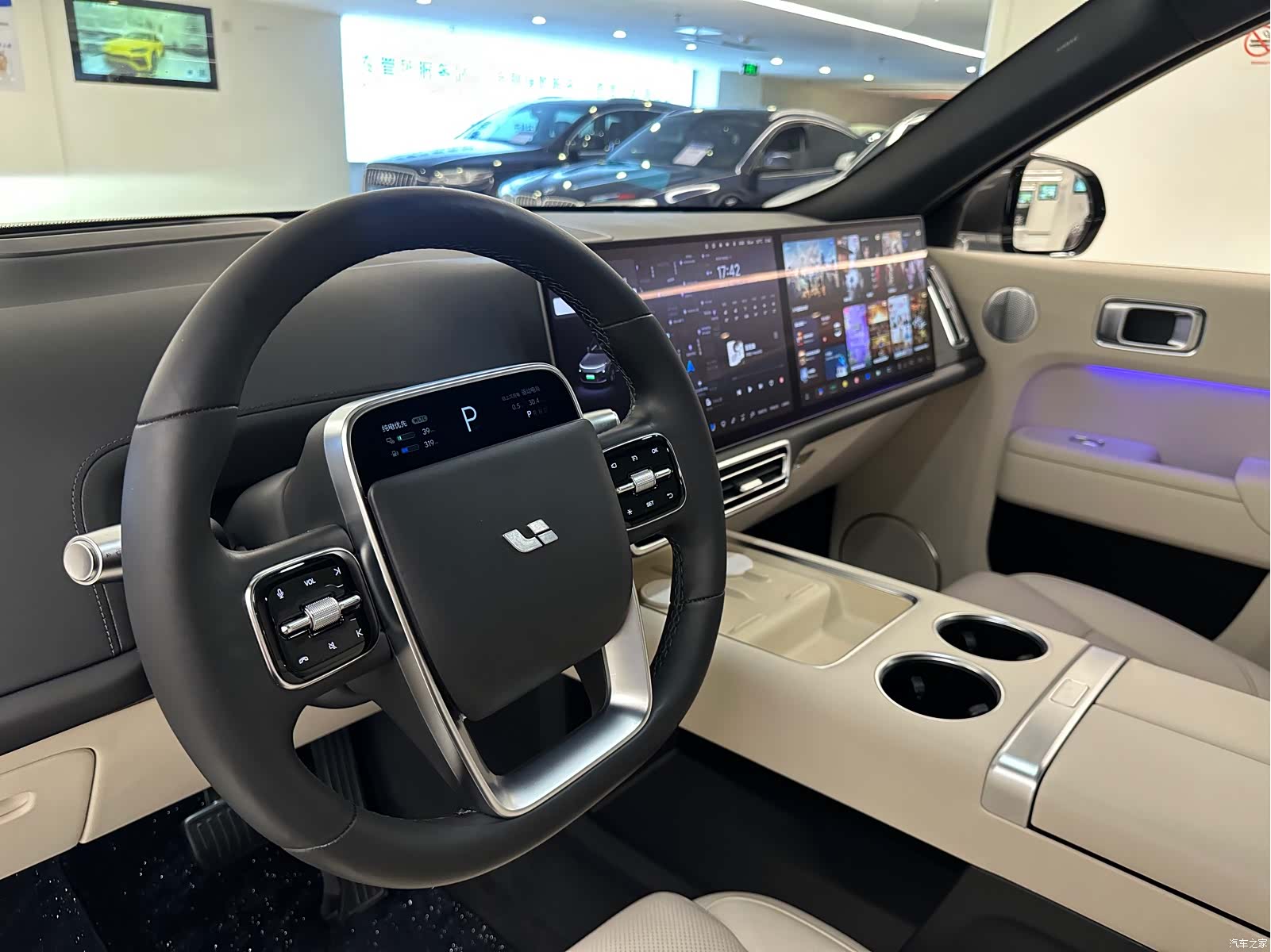 Li Auto L9, 2023 10