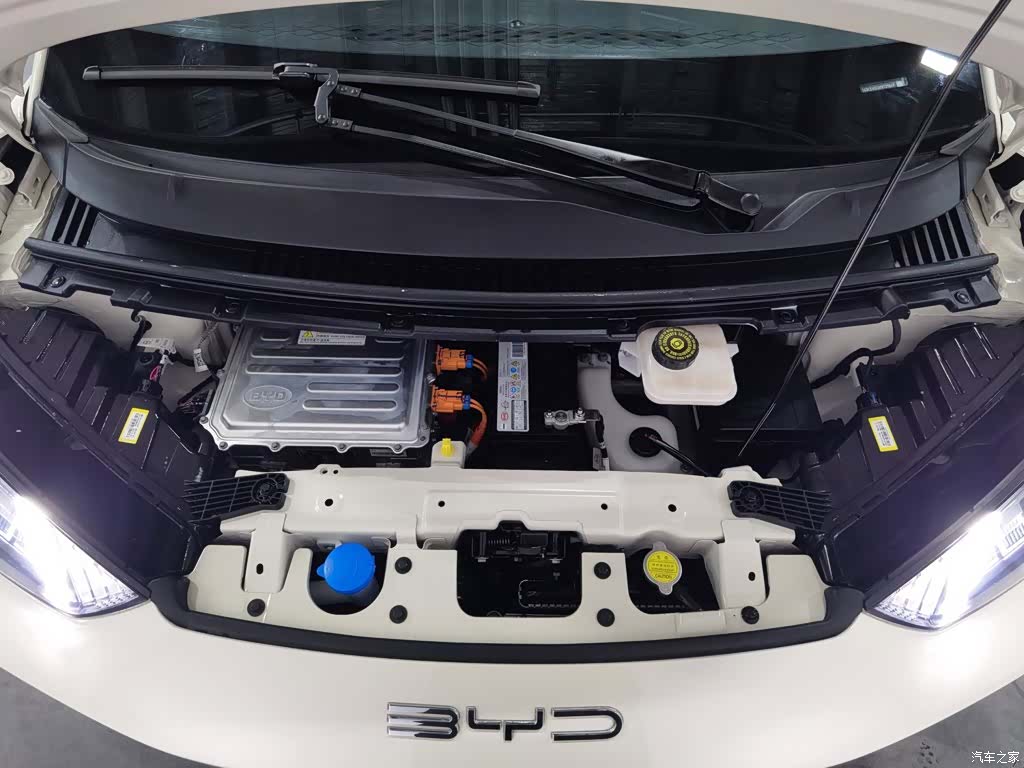 BYD Seagull, 2024 6