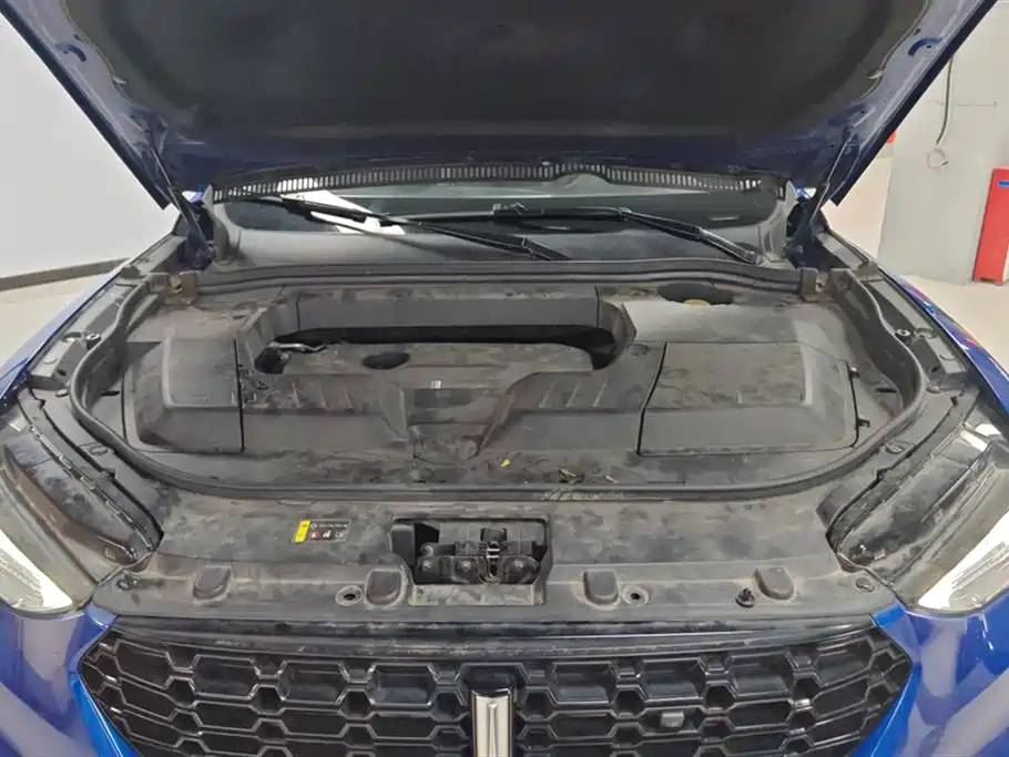 Weipai VV6