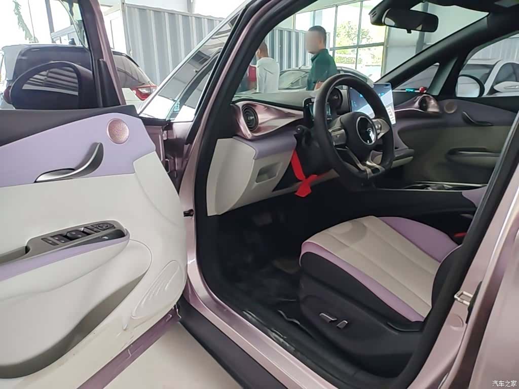 BYD Dolphin, 2022 16