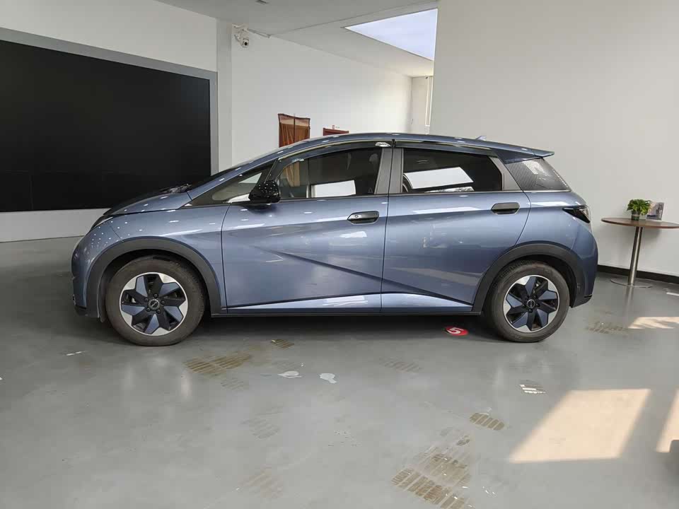 BYD dolphin BYD dolphin