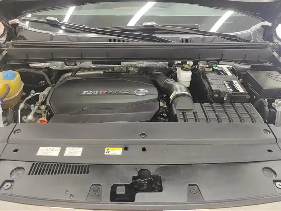 Trumpchi Trumpchi GS8