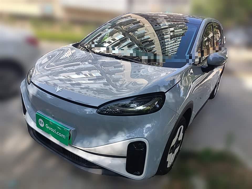 ARCFOX Polar Fox Koala S