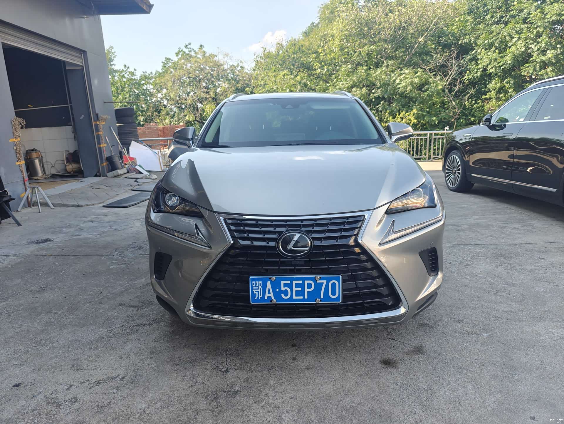 Lexus NX, 2019 2