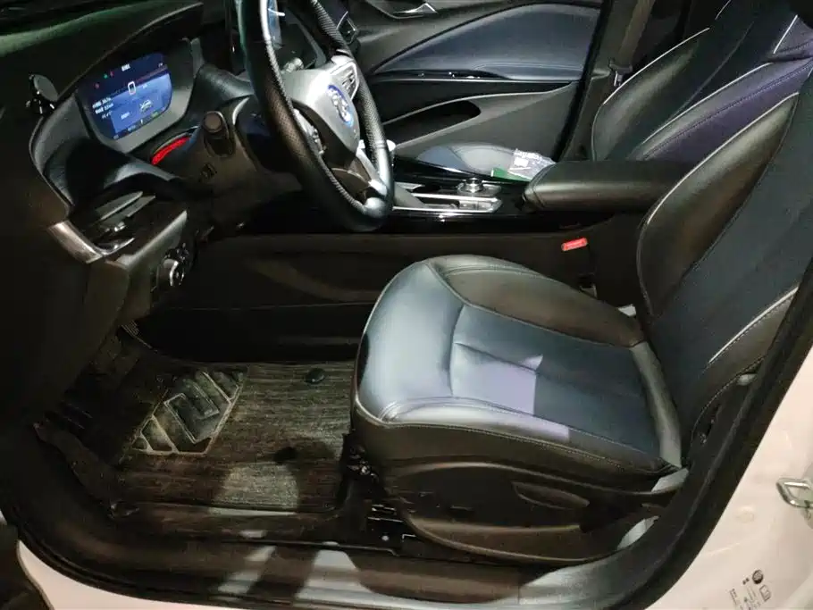 Buick Slightly blue 6