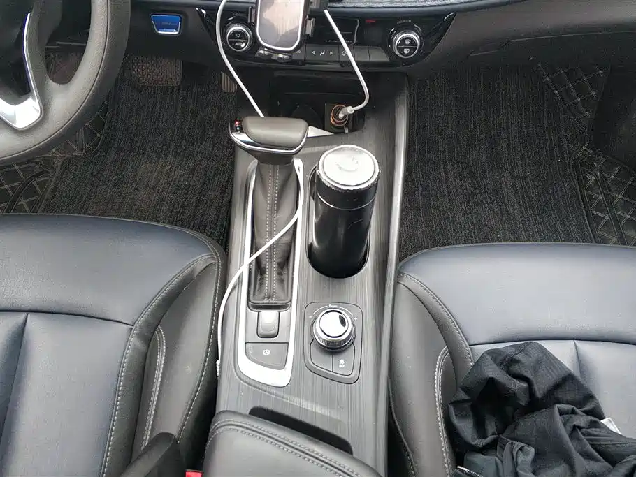 Buick Slightly blue 6