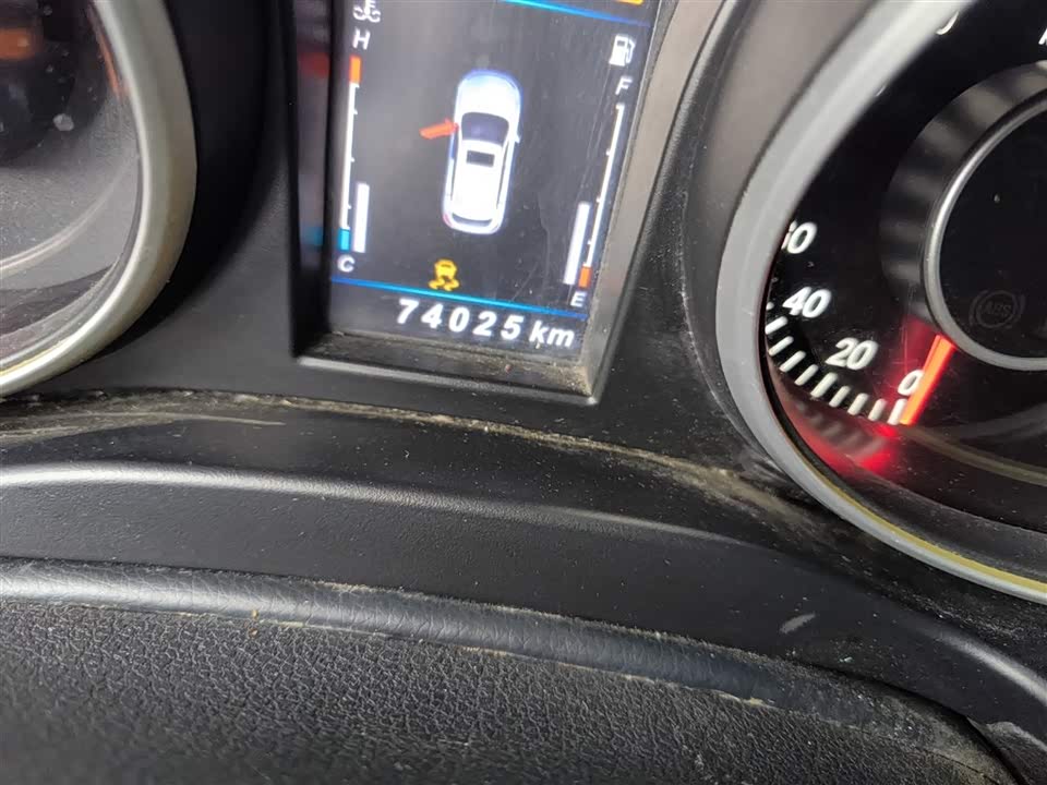 Leopaard Cheetah CS10