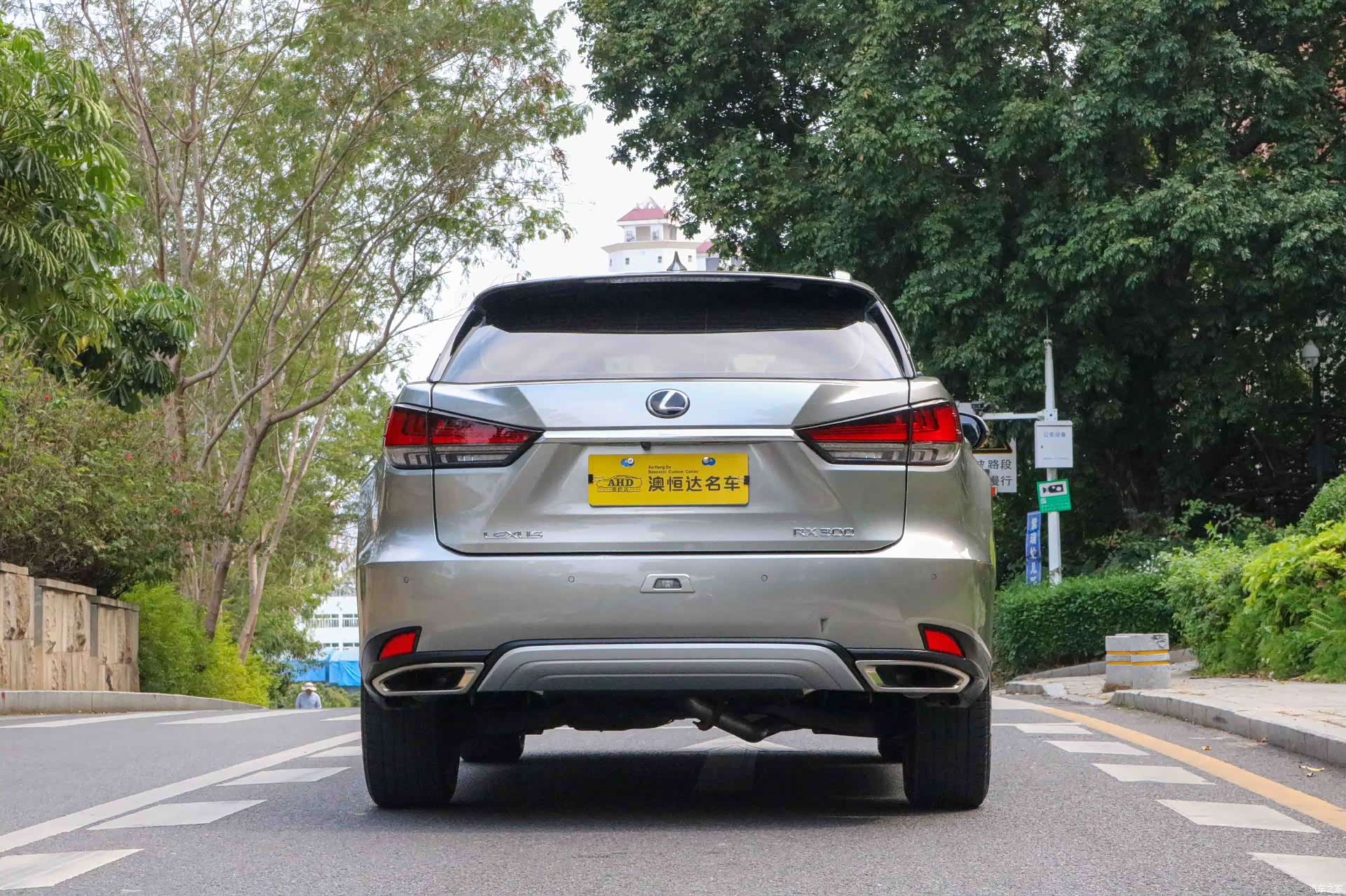 Lexus RX, 2022 14