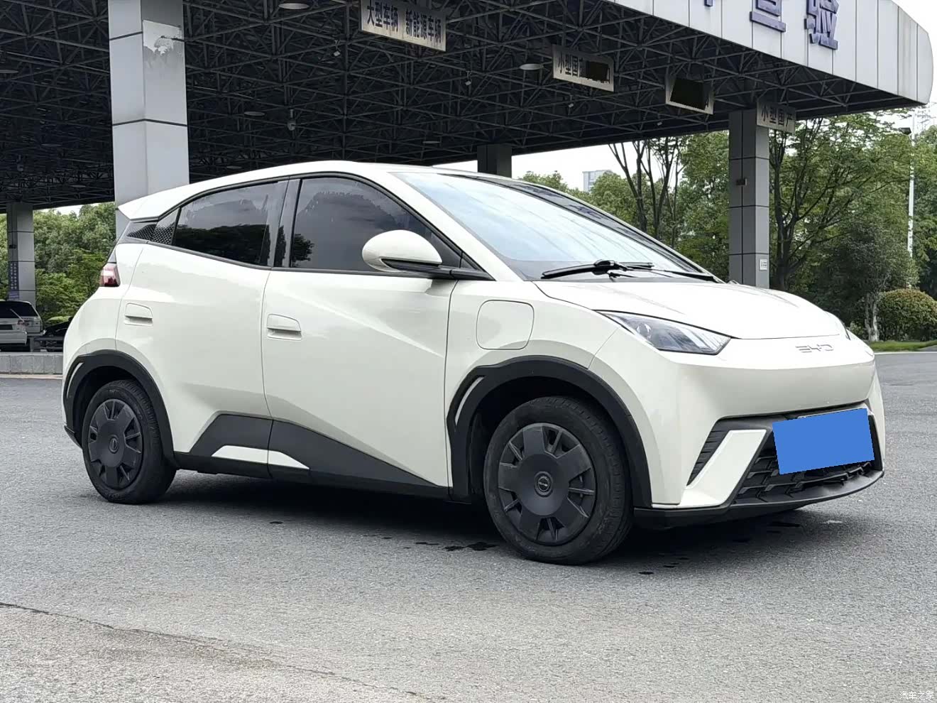 BYD Seagull, 2023 3