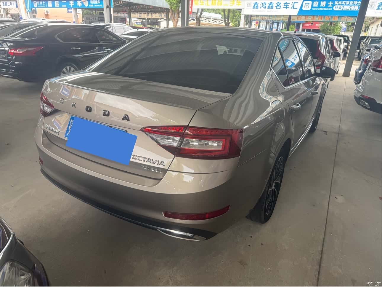 Skoda Octavia, 2019 10
