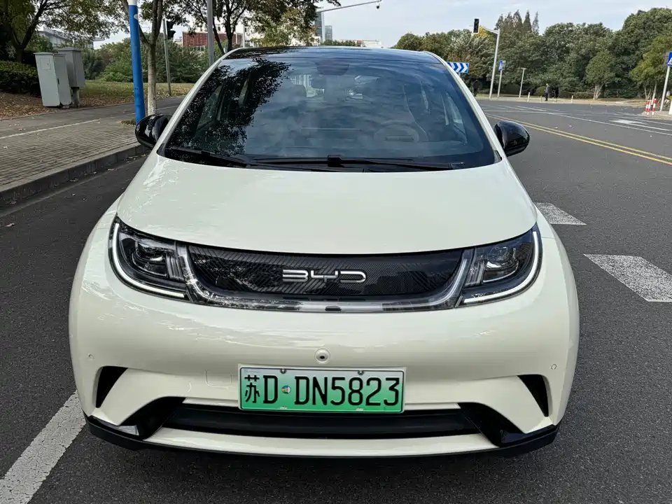 BYD dolphin