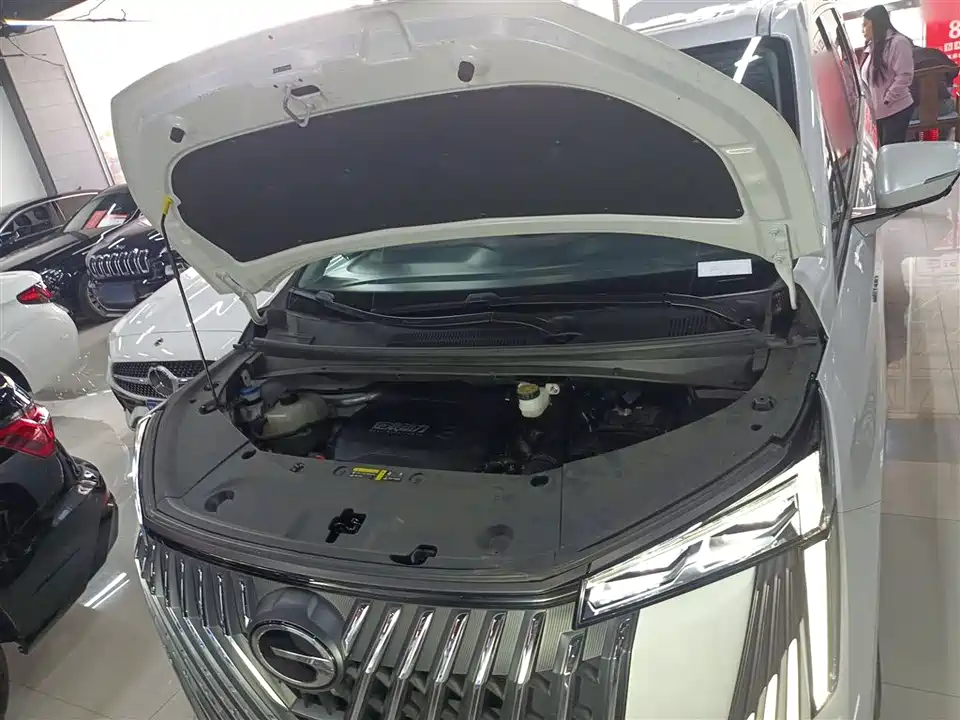 Trumpchi Trumpchi M8