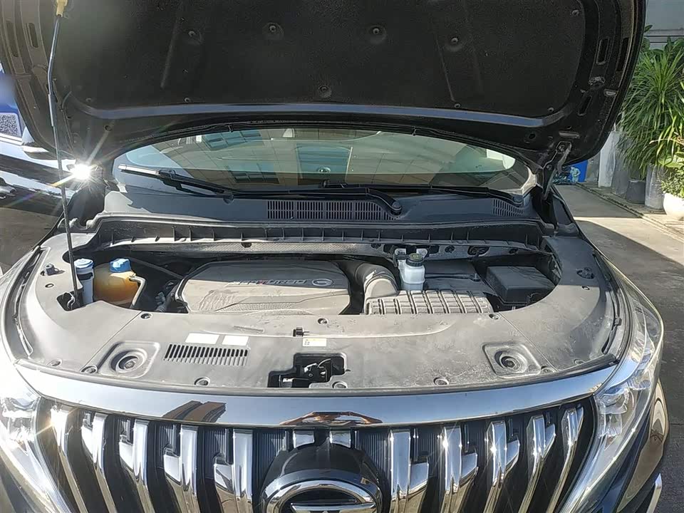 Trumpchi Trumpchi M8