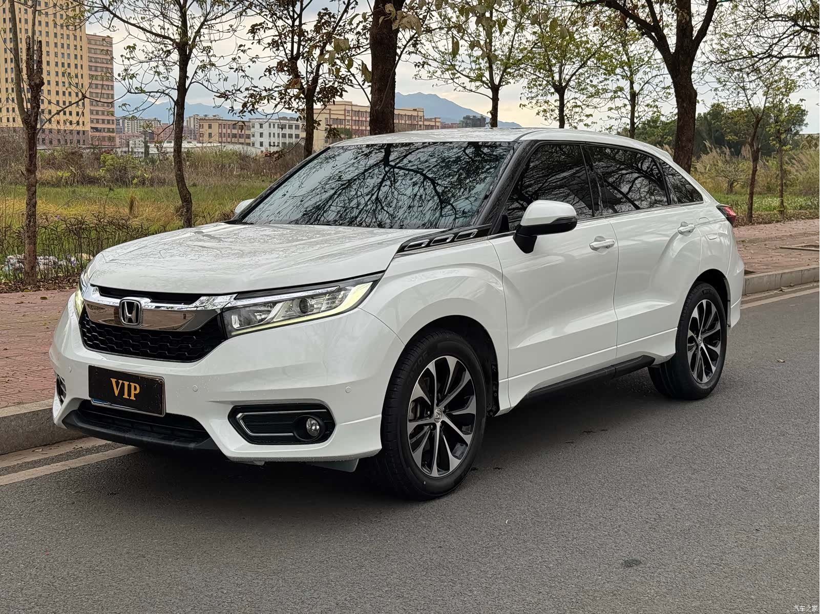 Honda Avancier, 2020 1