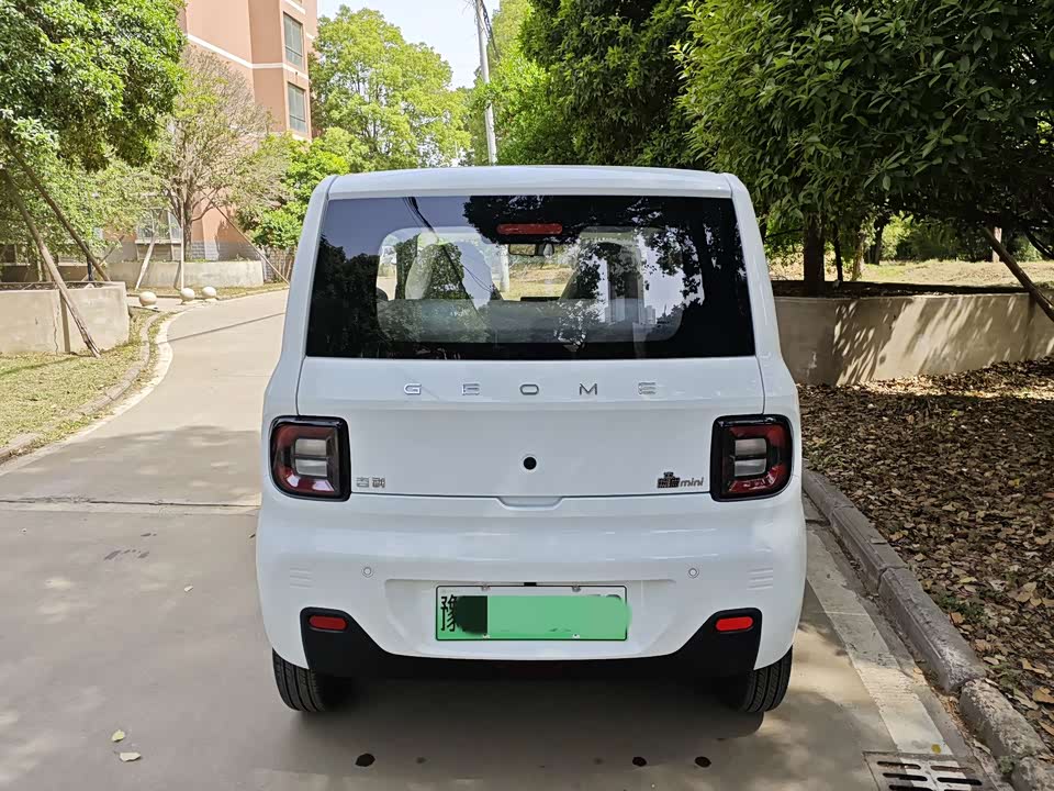 Geely Galaxy panda