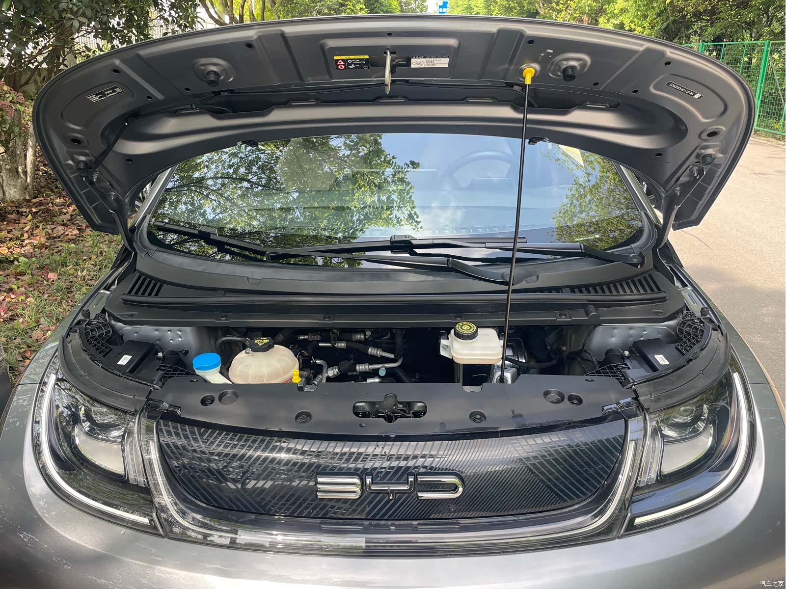BYD Dolphin, 2023 30