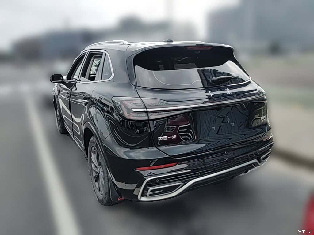 Hongqi HS5, 2024 9