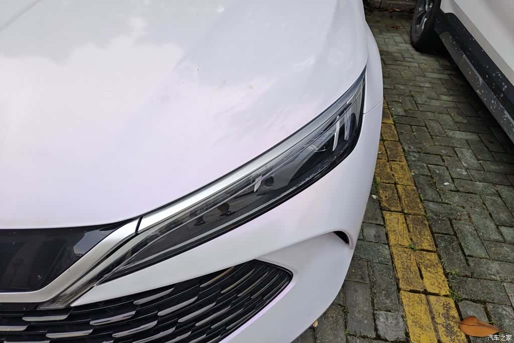 BYD Qin, 2024 все фото