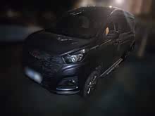 ��ʨ���� 2021�� 1.5L �ͳ�����ʨ 7��