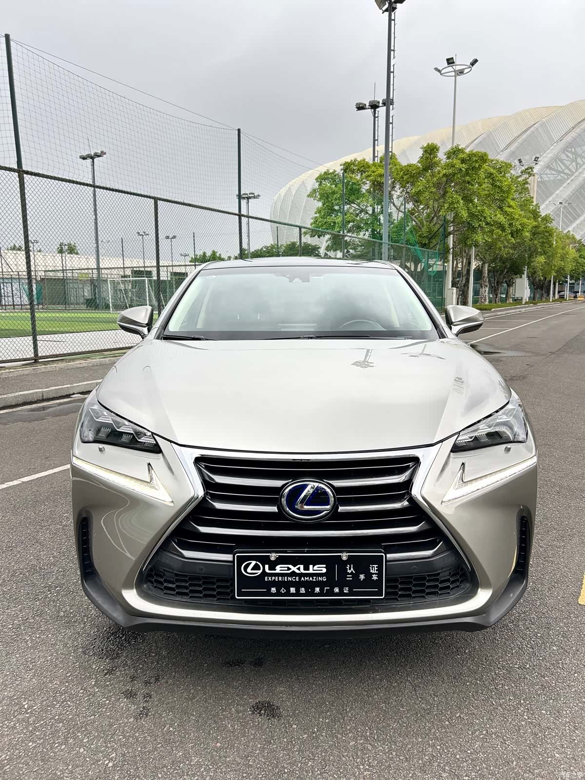 Lexus NX, 2016 2