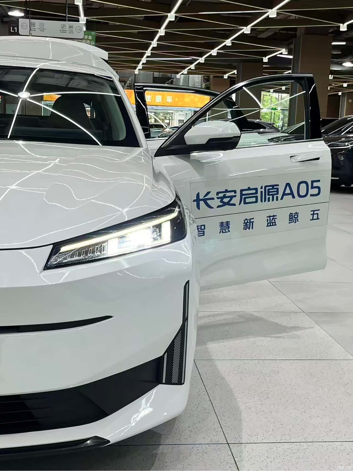 Changan Eado, 2023 19