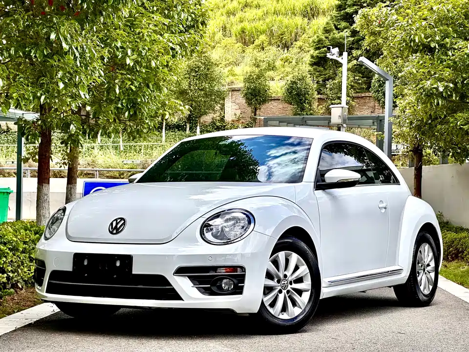 Volkswagen Beetle Volkswagen Beetle