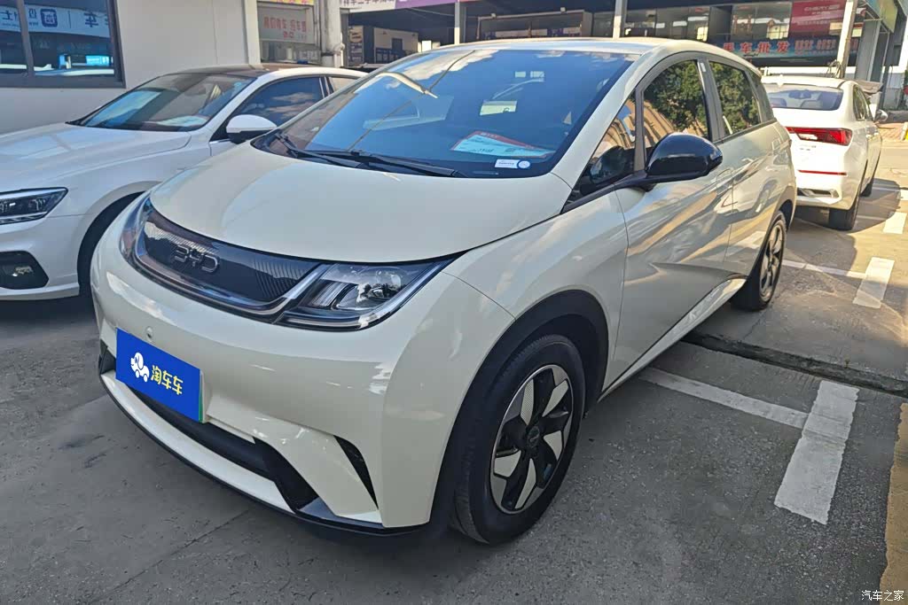 BYD Dolphin, 2024 1
