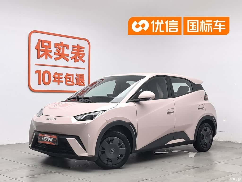 BYD Seagull, 2023 1