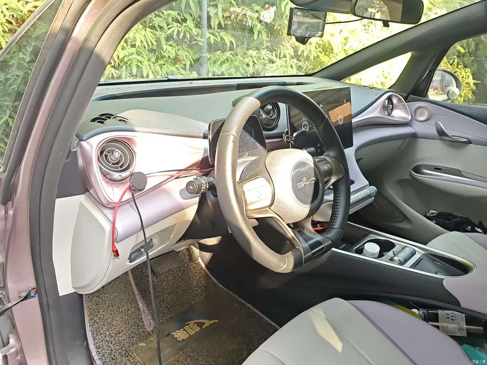 BYD Dolphin, 2021 4