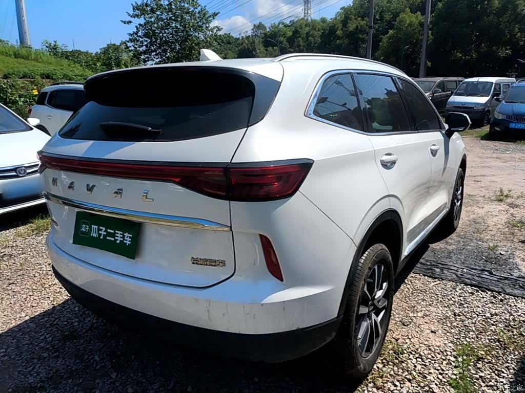 Haval H6, 2023 все фото