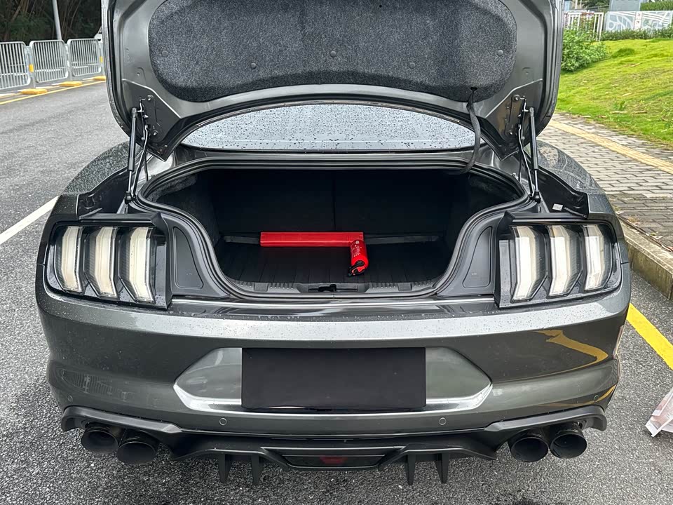 Ford Mustang Ford Mustang