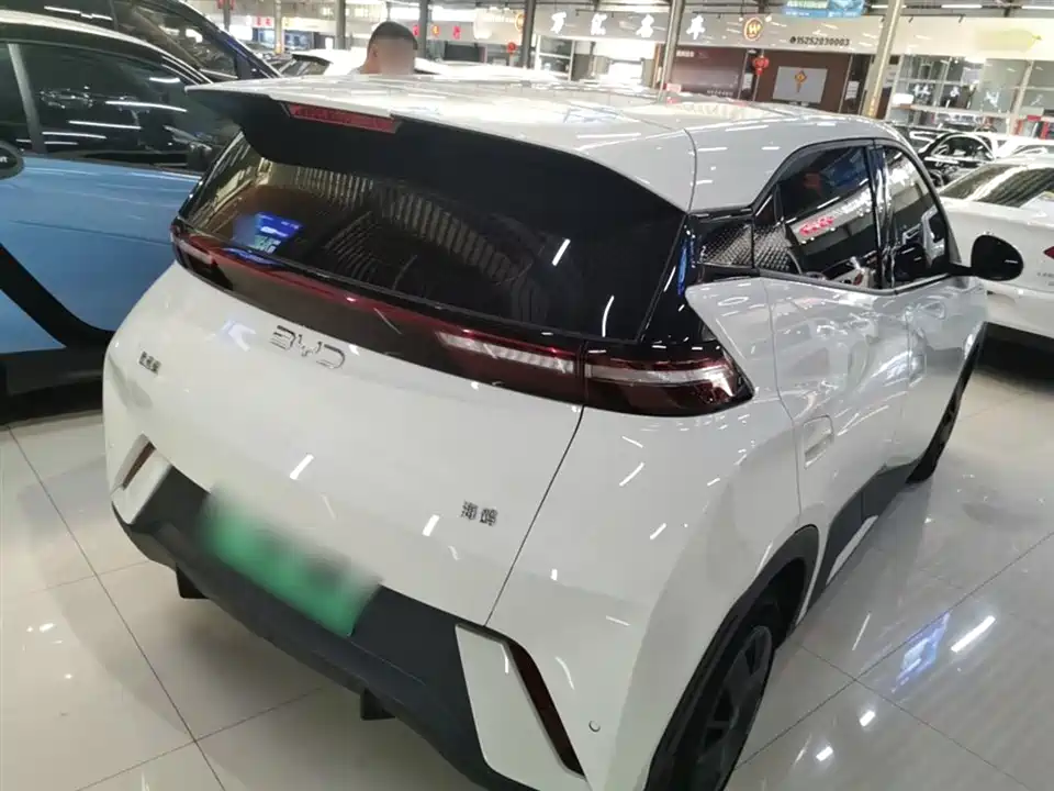 BYD Seagull