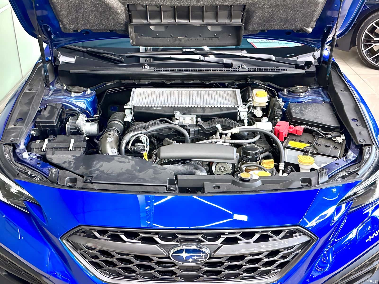 Subaru WRX, 2025 все фото