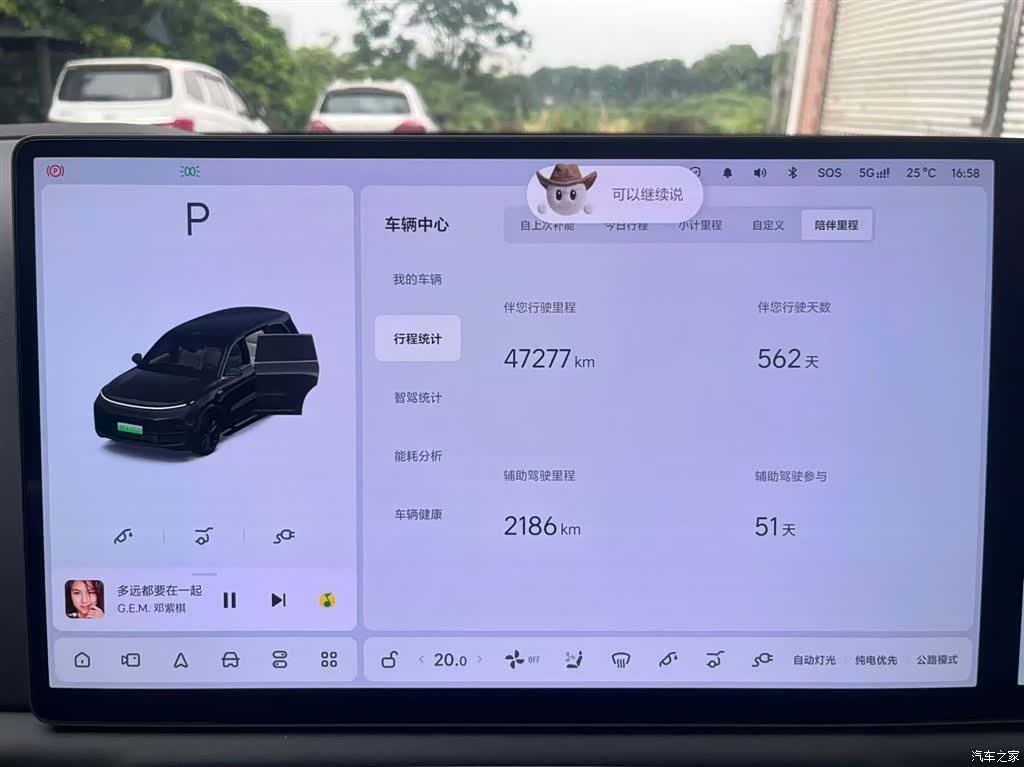 Li Auto L9, 2024 23