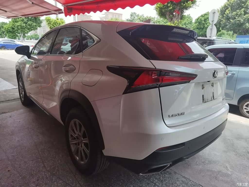 Lexus NX, 2019 все фото