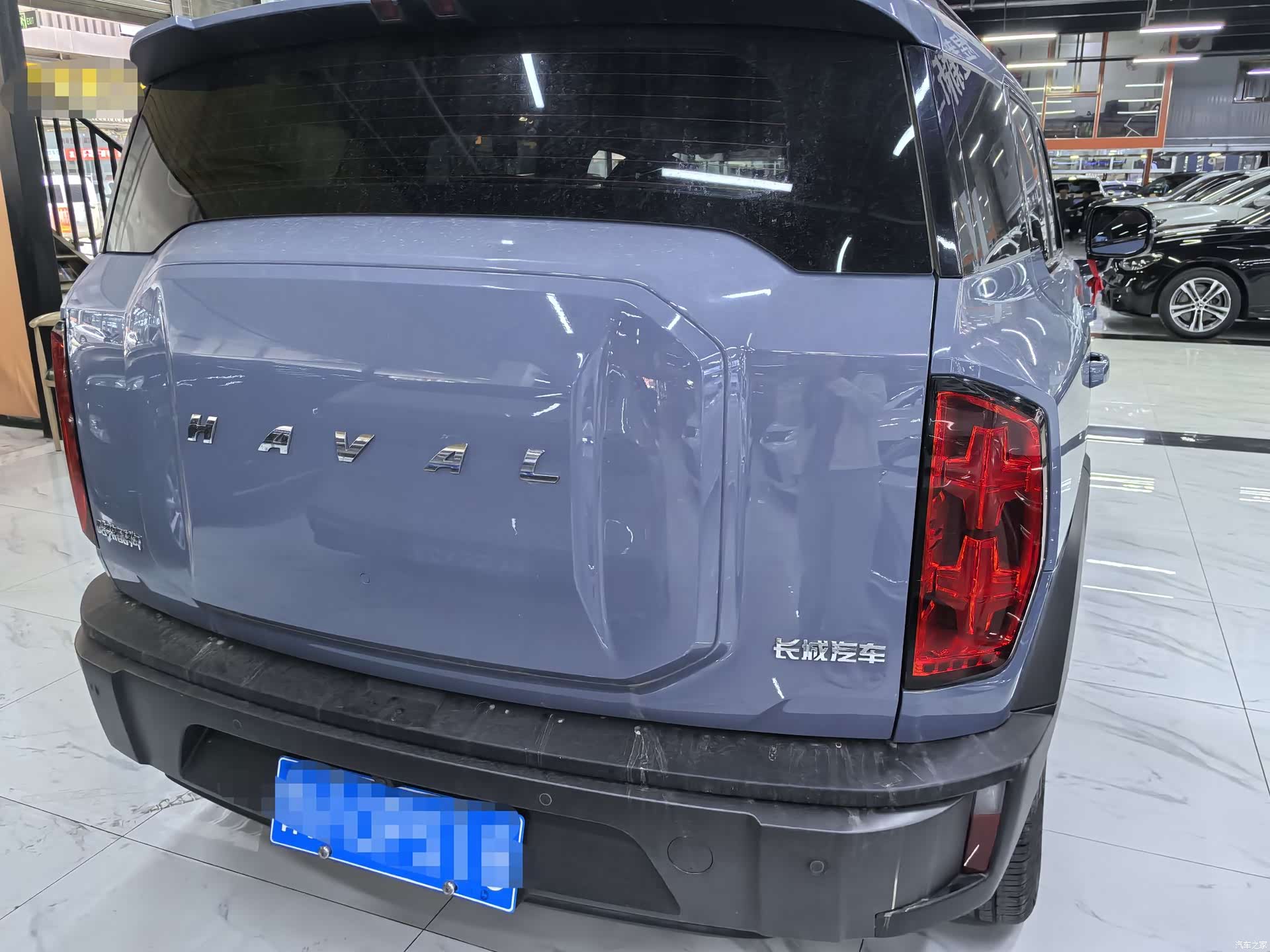 Haval Cool Dog, 2023 все фото