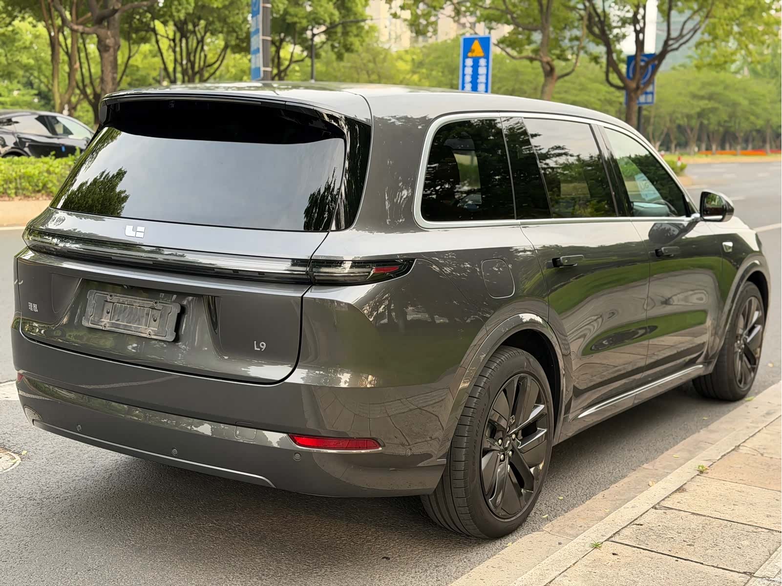 Li Auto L9, 2023 все фото