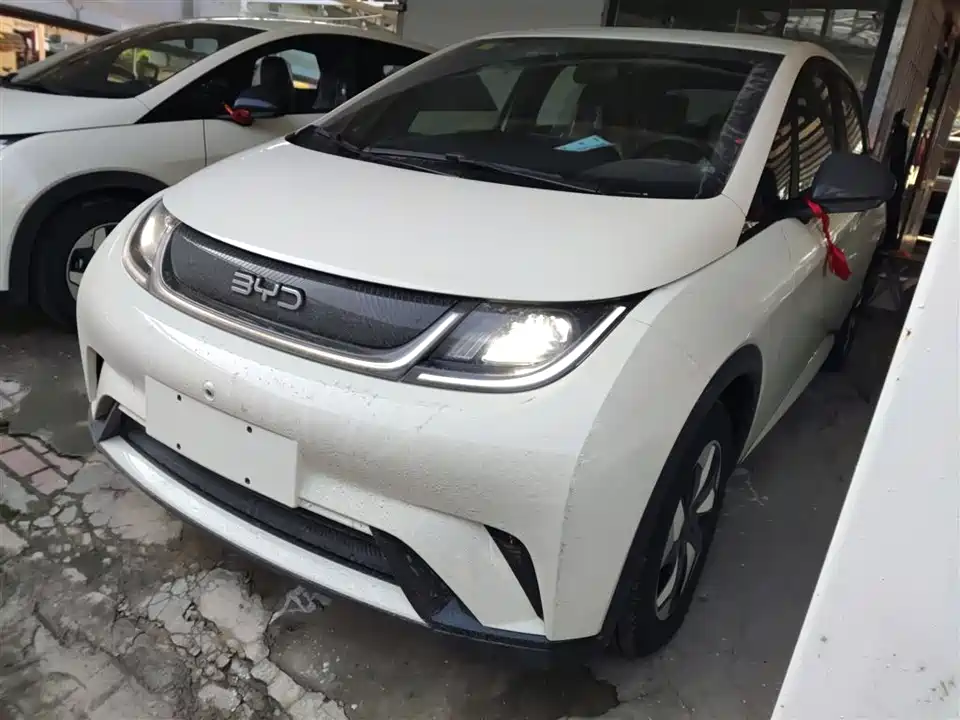 BYD dolphin