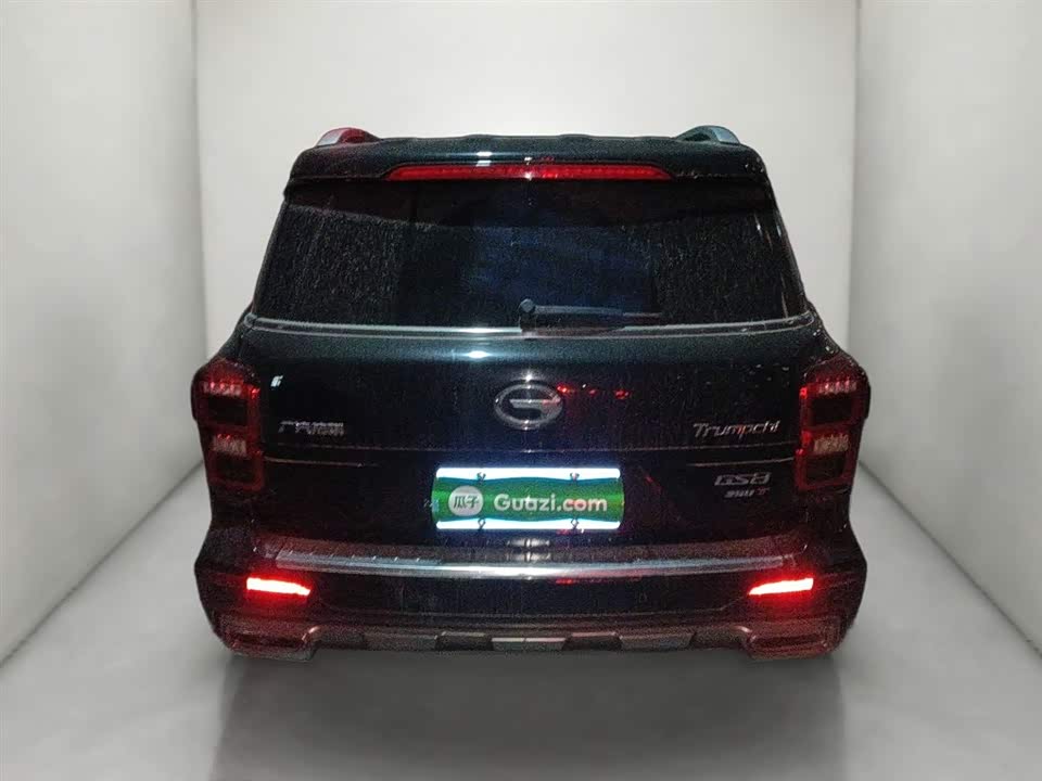 Trumpchi Trumpchi GS8