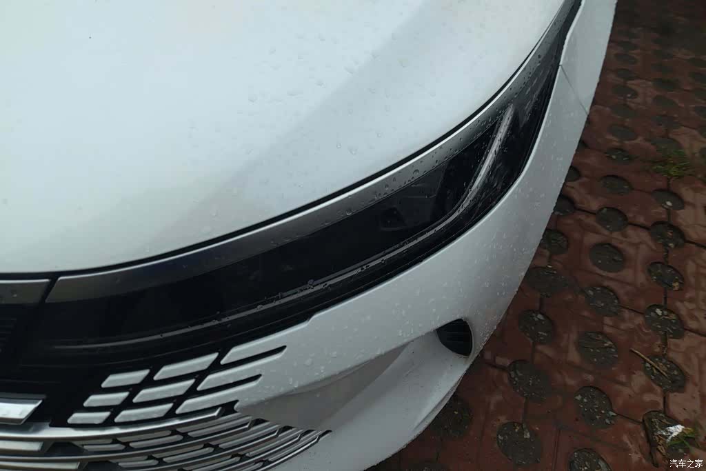 BYD Destroyer 05, 2024 все фото