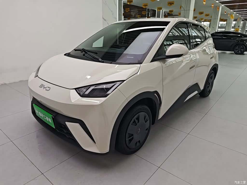 BYD Seagull, 2024 2