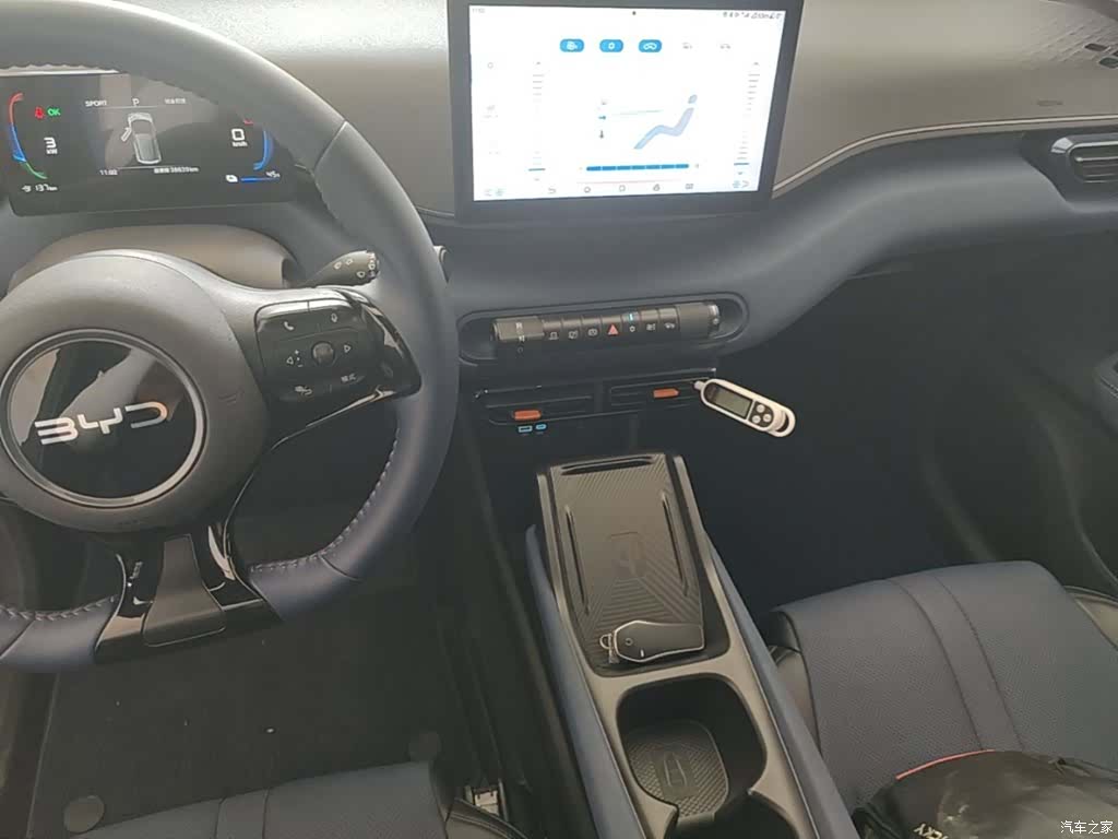 BYD Seagull, 2024 10